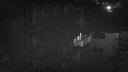 cam1_2024-01-29_06-35.jpg