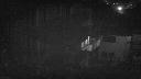 cam1_2024-01-29_06-45.jpg