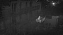 cam1_2024-01-29_07-00.jpg